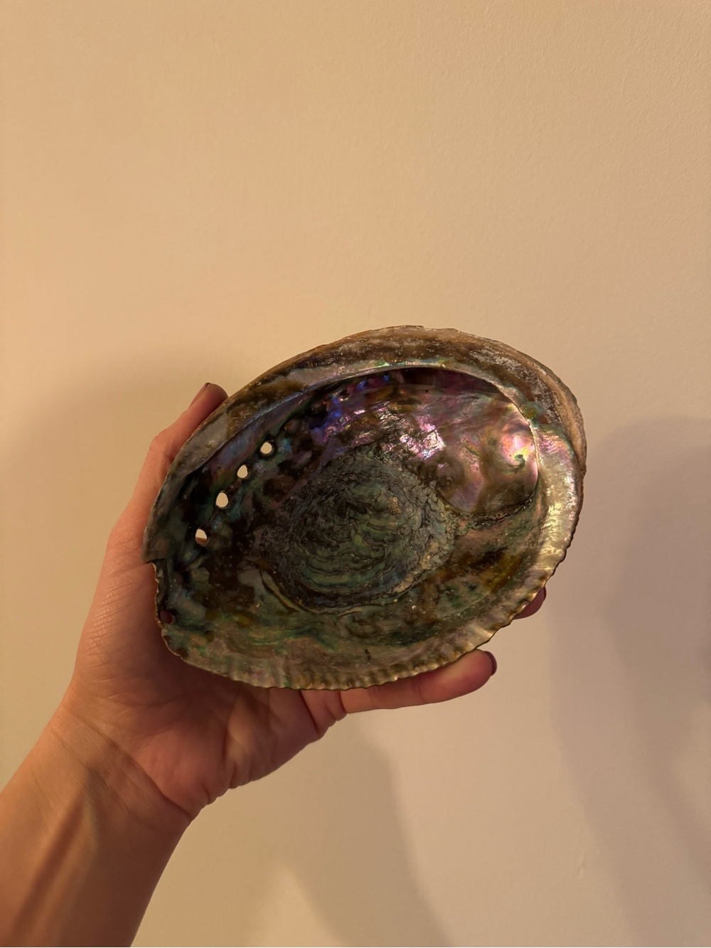 Vintage Iridescent Red Abalone Shell Dish